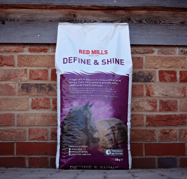 Your FAQs on Define & Shine