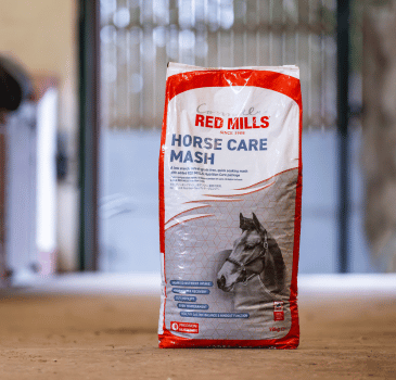 Choosing the Best Mash for Horses