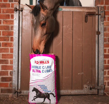 Your FAQ’s on Horse Care Ultra Cubes