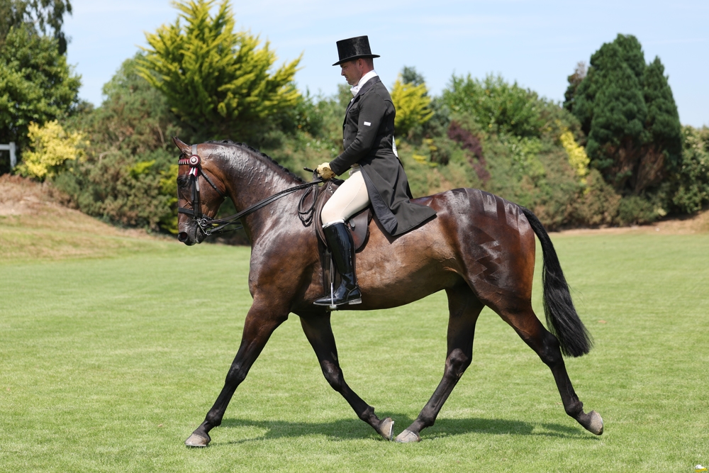 Connolly’s RED MILLS Showing Ireland Champion of Champions Marks 8th Year